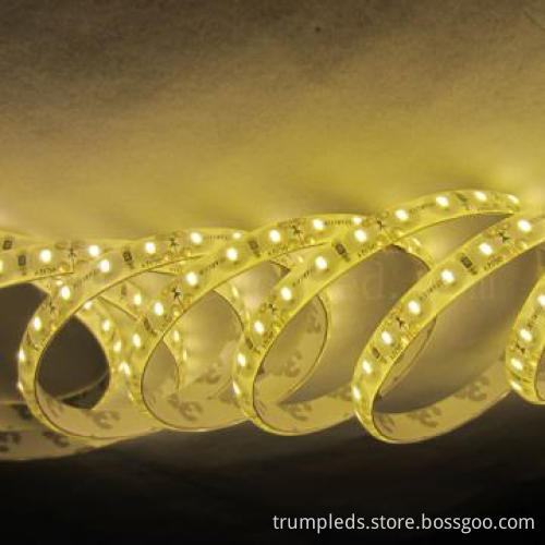 Economic practical led strip light 5m 3014 smd